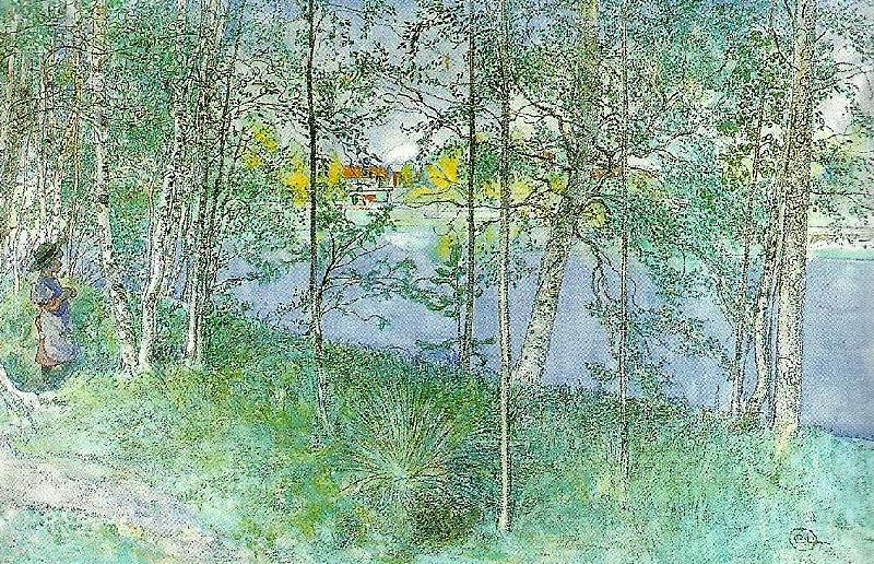 esbjorn pa bullerholmen, Carl Larsson